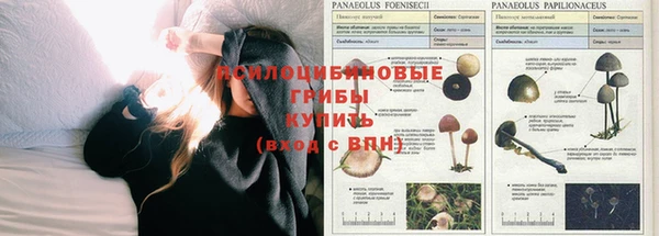 кокаин Заволжск